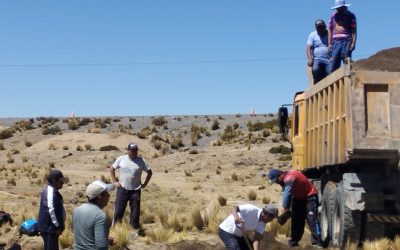 CON EL APOYO DE LOS DOCENTES Y EGRESADOS, TRABAJANDO RUMBO AL LICENCIAMIENTO 